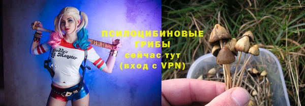 ГАЛЛЮЦИНОГЕННЫЕ ГРИБЫ Майский